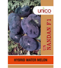 Watermelon UN Nandan 100 grams